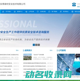 山东博泰特安全技术有限公司